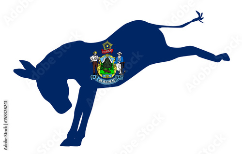 Maine Democrat Donkey Flag