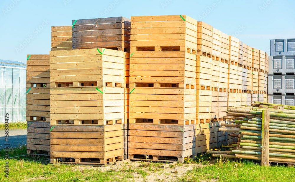 Empty wooden crates stacked on pallets outdoors. Part of greenhouse visible in background. Empty wooden crates stacked on pallets outdoors. Part of greenhouse visible in background.
