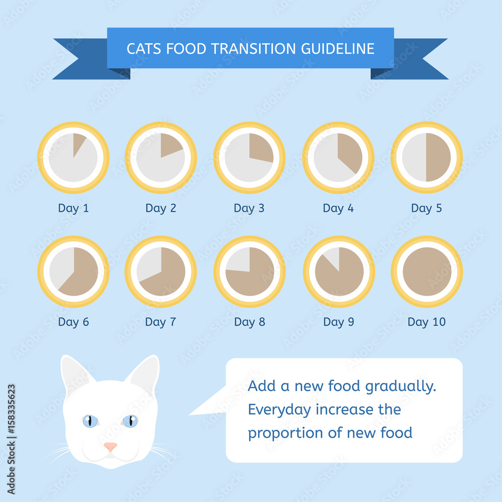 Transitioning cats top to scheduled feeding