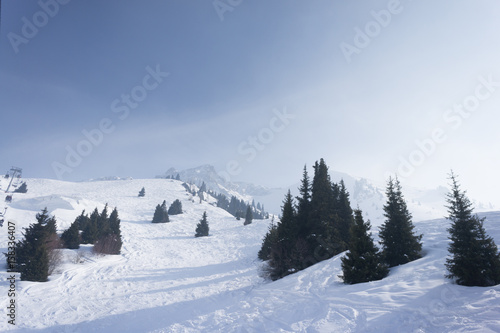 Winter landscape with snow and pines in mountains
