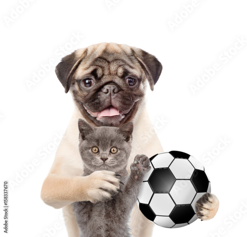 Cat and dog with soccer ball standing together. Isolated on white background © Ermolaev Alexandr