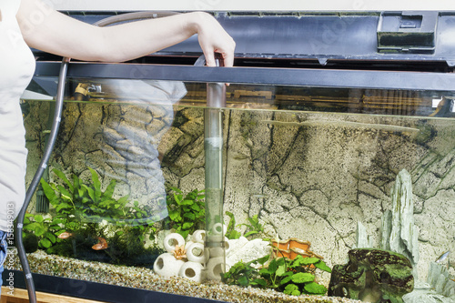 Young woman cleaning aquarium with pump at home.
