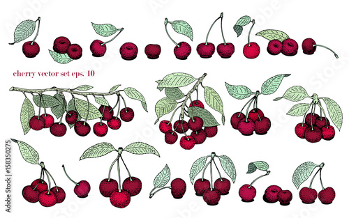 vector cherry set. Can be use for background, packaging, design, invitation, banner, cover. Vintage hand drawn illustrations