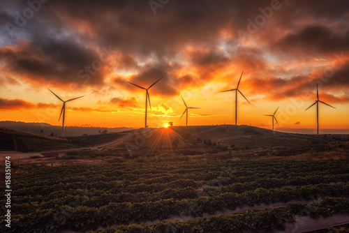 Sun sets in the fields of wind turbines.