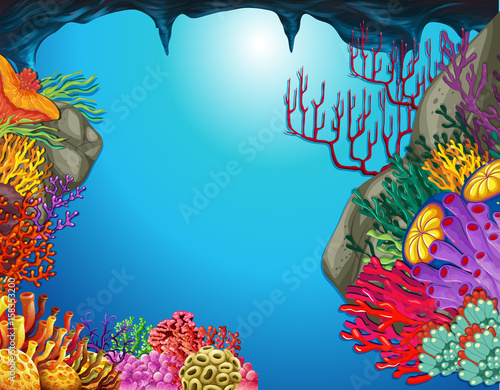 Underwater scene with coral reef in cave