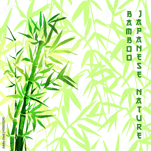 Bamboo green tree japanese plant or tree. Traditional sumi painting vector illustration for wallpaper or healthy therapy cosmetic products design