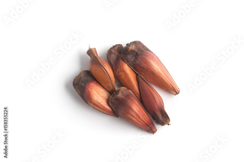 Billede på lærred Pinhao - brazilian pine