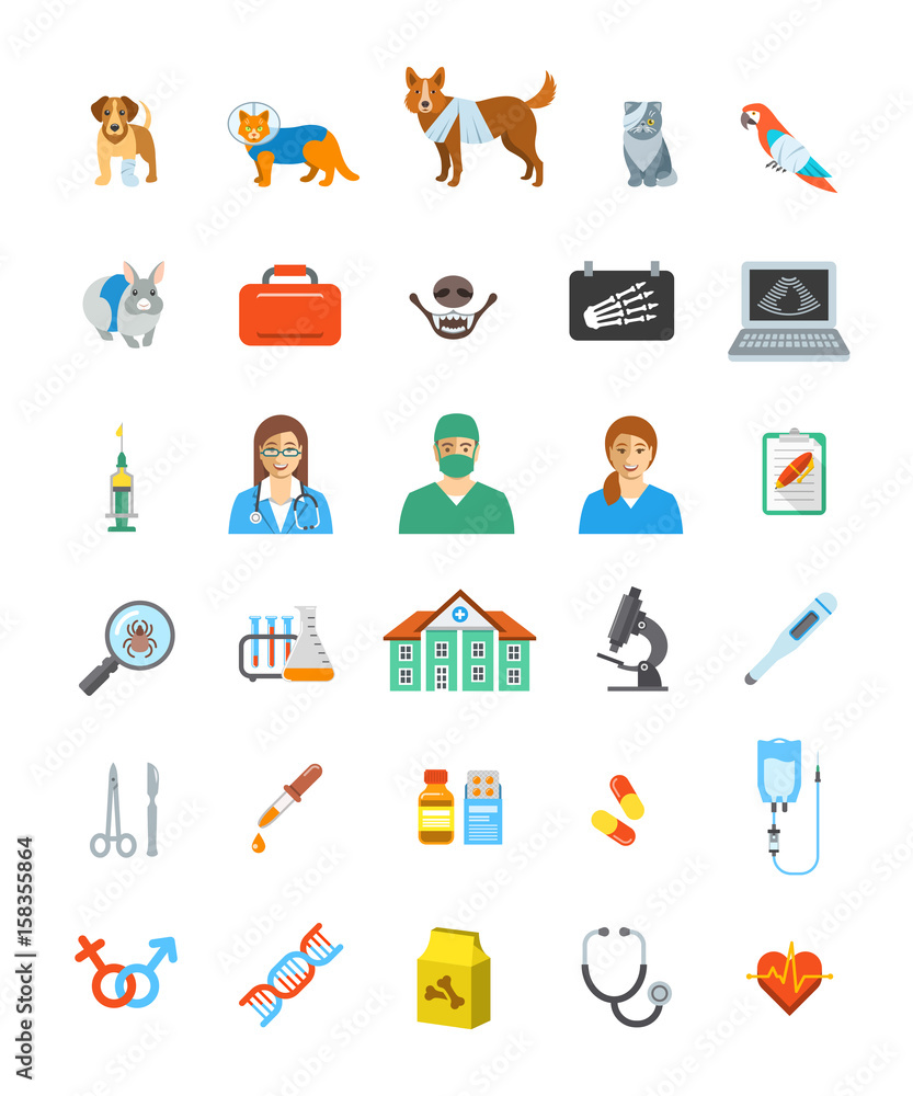 Vet clinic services vector icons. Pet treatment flat symbols. Domestic animals health care concepts. Bandaged dog, sick cat, ill puppy, kitten, parrot and rabbit. Veterinarian doctor, surgeon, nurse Vet clinic services vector icons. Pet treatment flat symbols. Domestic animals health care concepts. Bandaged dog, sick cat, ill puppy, kitten, parrot and rabbit. Veterinarian doctor, surgeon, nurse