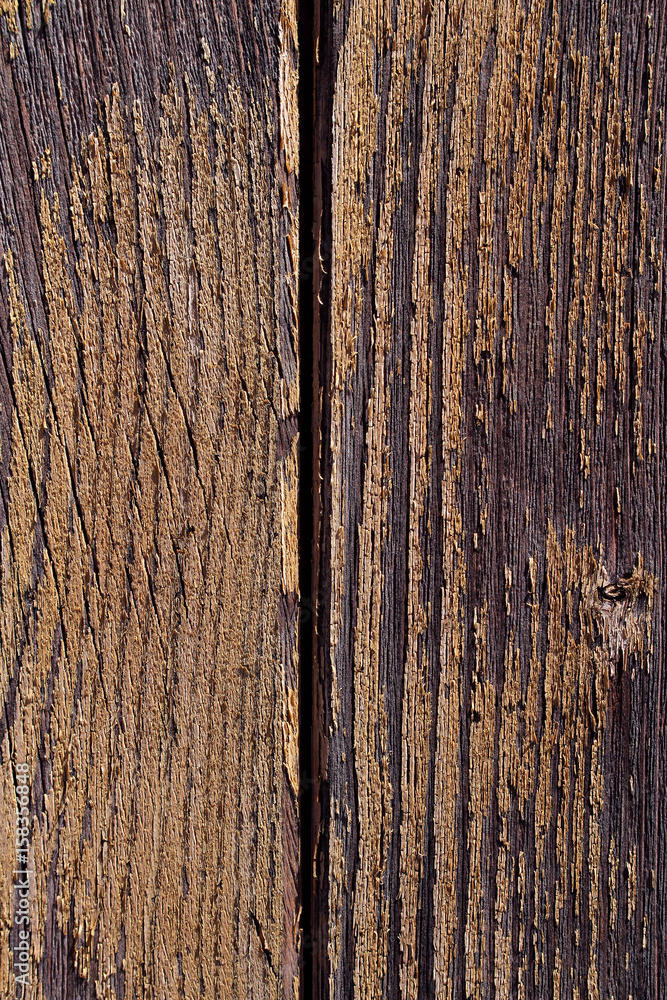 Obraz premium texture