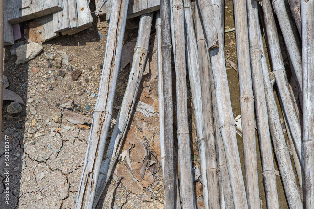wood pile wood pile