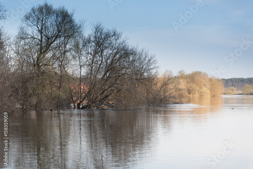 flooded river bank
