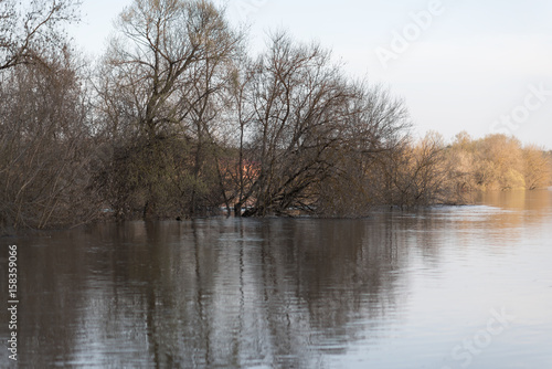 flooded river bank photo