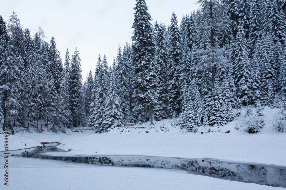 Naklejka premium lago de braies