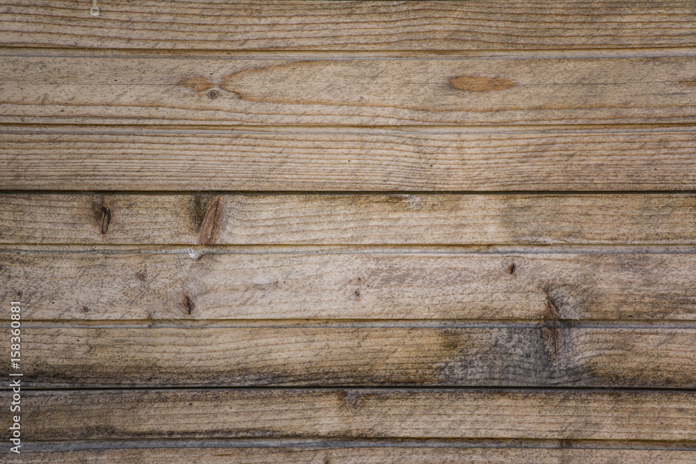 Obraz premium Wood texture