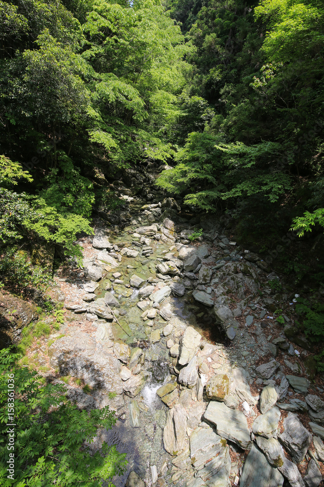 徳島県美馬市　二戸谷川の風景