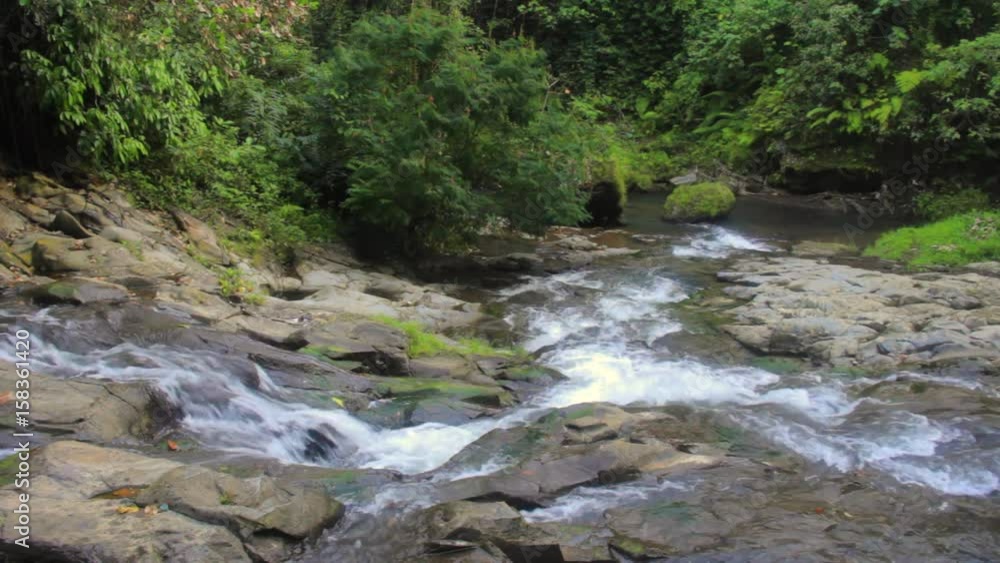 The mountain river flows The mountain river flows