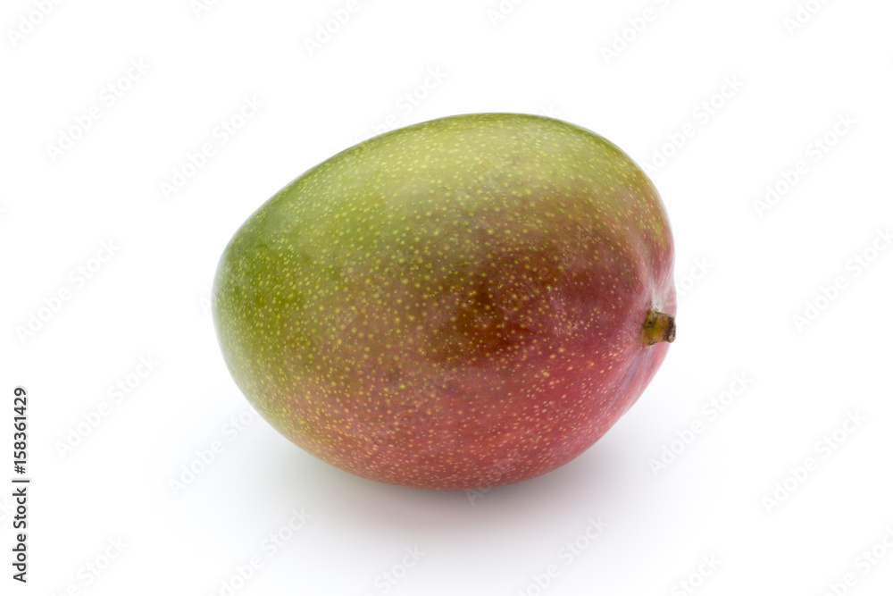 Mango fruit isolated on white background . Mango fruit isolated on white background .