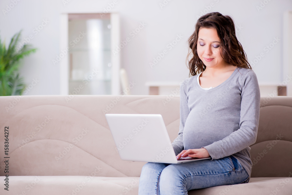 Pregnant woman working on laptop sitting on sofa Pregnant woman working on laptop sitting on sofa