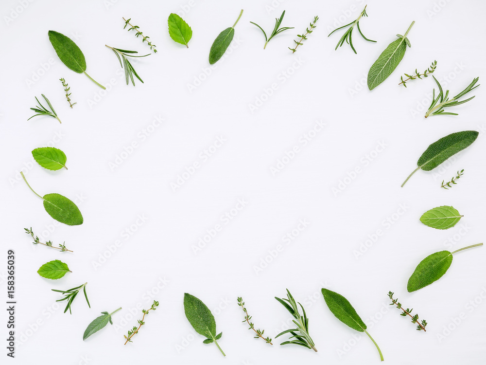 Various fresh herbs from the garden rosemary, sage ,thyme and peppermint leaves flat lay with central copy space on white wooden background.