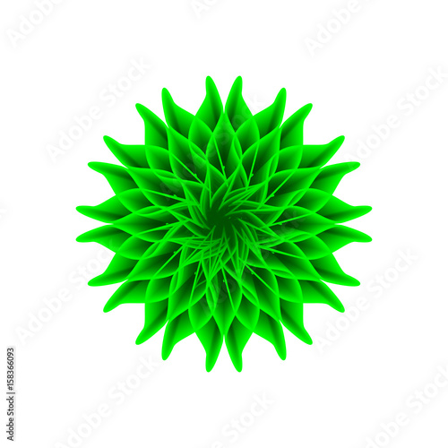 green flower on a white background