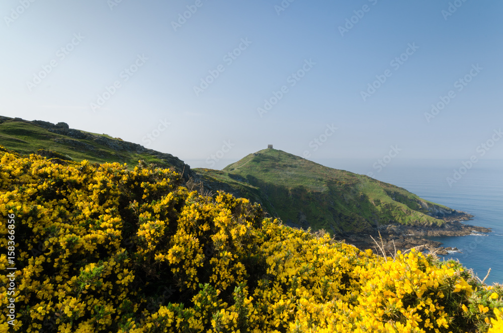 Rame Head