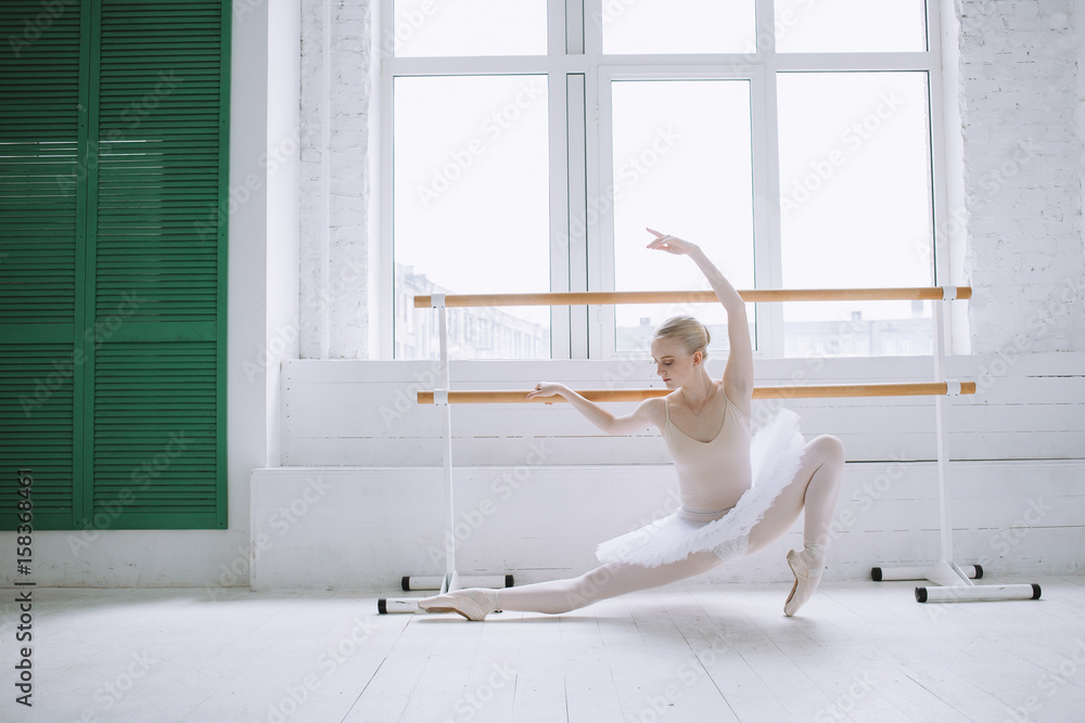 Young ballerina in ballet class Young ballerina in ballet class