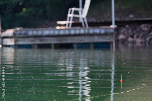 Lazy Morning Fishing