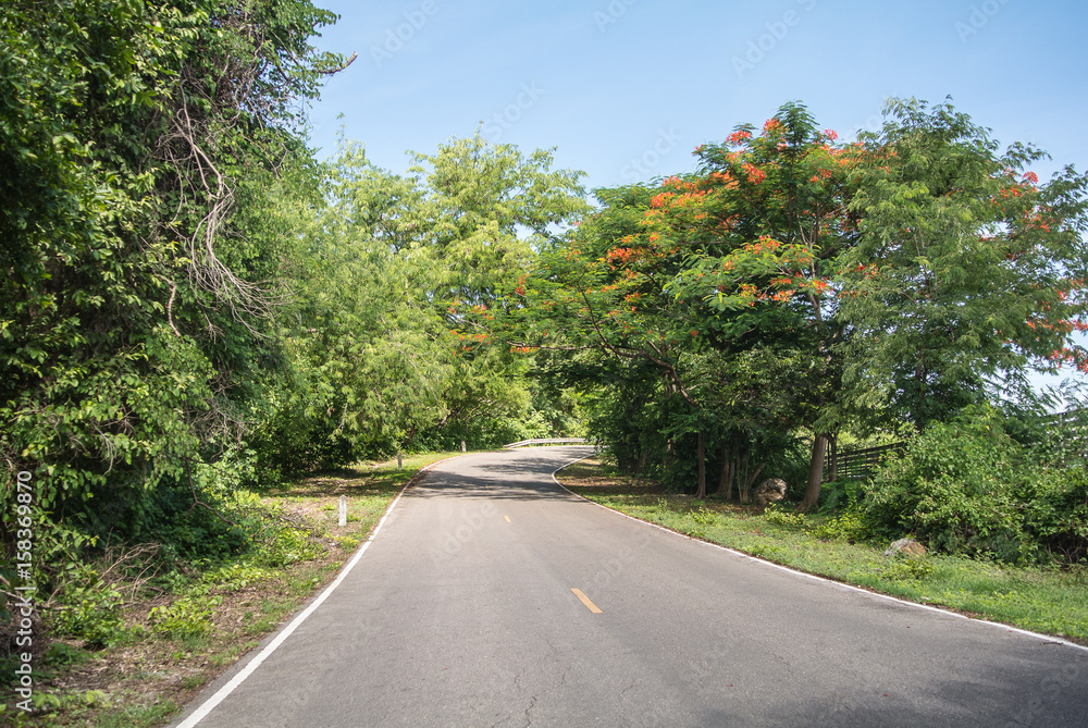 Fototapeta premium Natural forests and beautiful mountains in countryside Ratchaburi Thailand