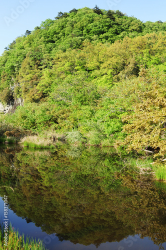 Mountains reflected in the pond