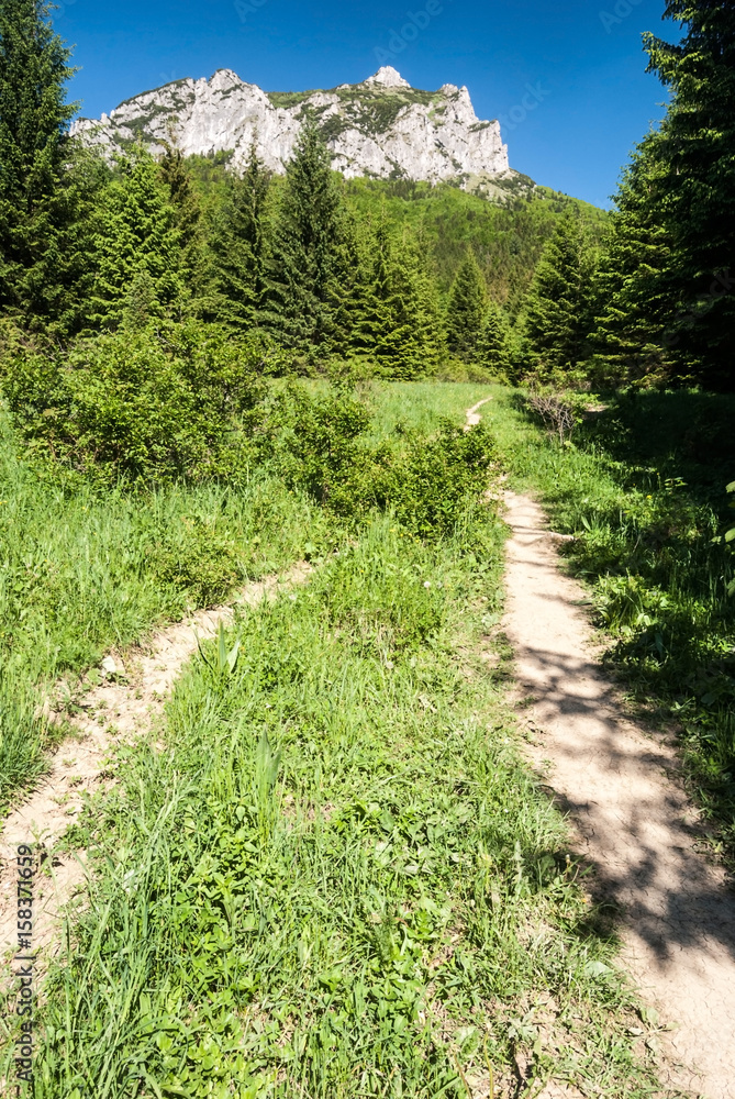 meadow with Velky Rozsutec hill above in Mala Fatra mountains in Slovakia meadow with Velky Rozsutec hill above in Mala Fatra mountains in Slovakia