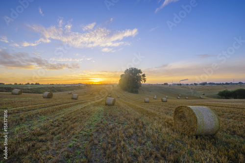 Sunrise over the field after the harvest