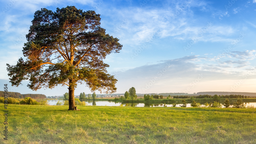 летний пейзаж на Уральской реке с деревьями на берегу, Россия, июнь,
