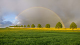 Rainbow over green, spring field