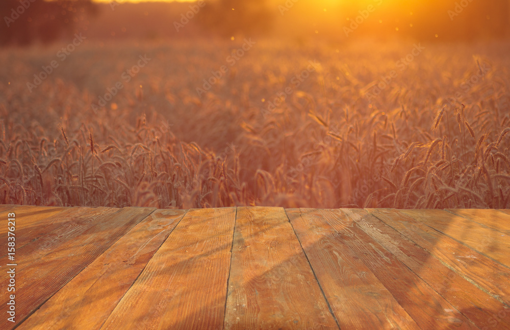 wooden table with field with ripe corn ears of corn - obrazy, fototapety, plakaty 