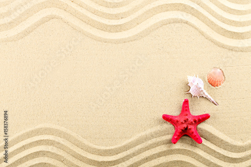 Starfish and shells on the beach.