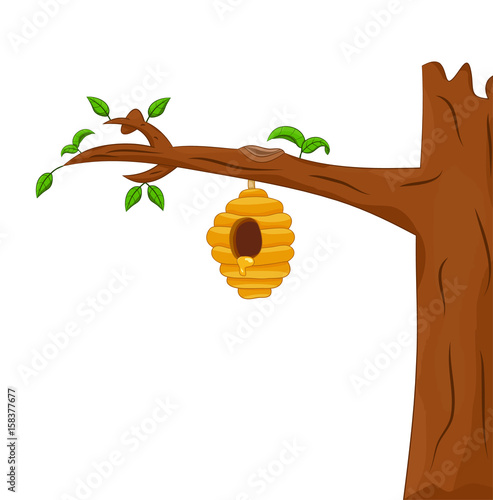 bee hive hang on the tree isolated
