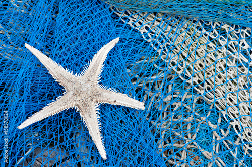 Detail of a starfish