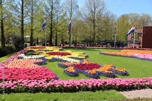 Tulips in Lisse, Netherlands, Europe. 