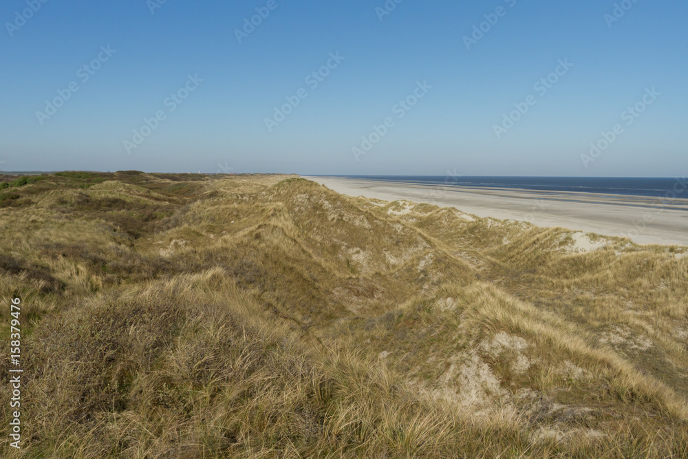 Dünengebiet am Strand am Wattenmeer