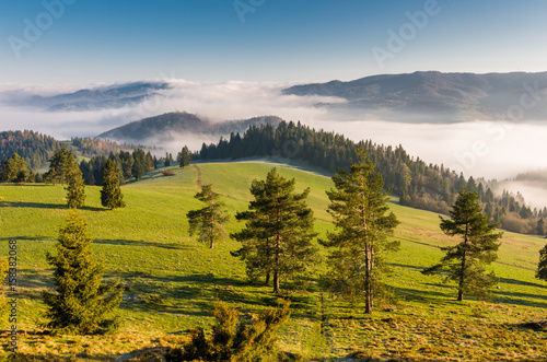 Morning panorama of Pieniny and Beskidy mountains, Poland landscape