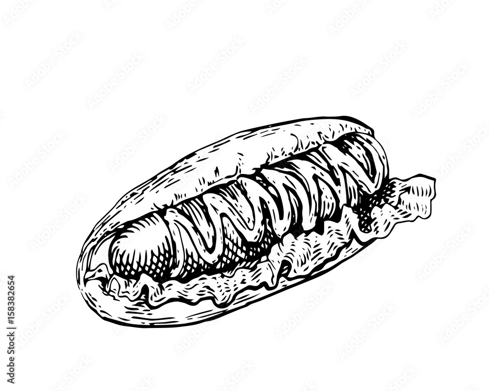 Isolated Detail Vintage Hand Drawn Food Sketch Illustration - Hot Dog