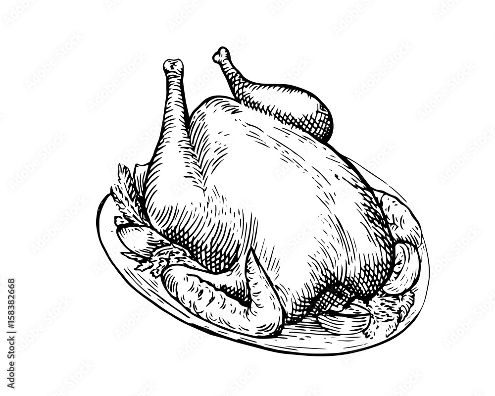 Isolated Detail Vintage Hand Drawn Food Sketch Illustration Chicken 1000 F 158382668 Of89CltrfMyiDHFRPOW7SSnSJrCuEfXS