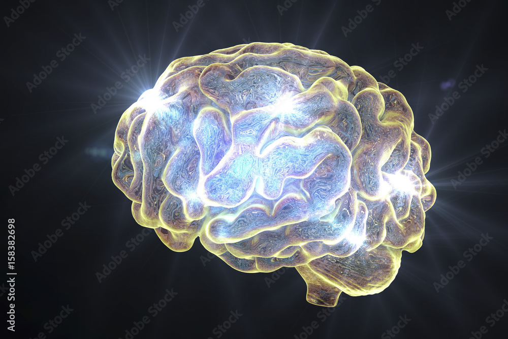 Human brain isolated on black background, 3D illustration Human brain isolated on black background, 3D illustration