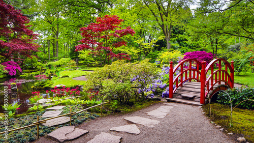 Traditional Japanese Garden in The Hague. photo