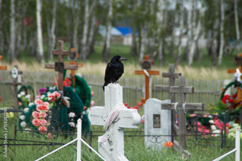 The crow sits on the grave