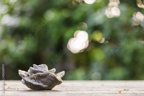 stone rose garden table decoration with copy space