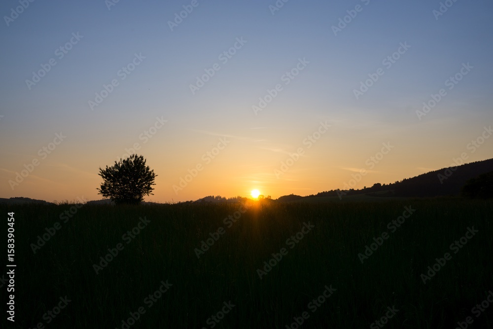 Sunset on meadow with hills and tree. Slovakia Sunset on meadow with hills and tree. Slovakia