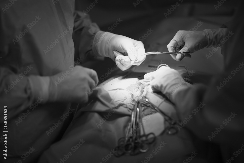 The doctor at work. During a surgical operation.