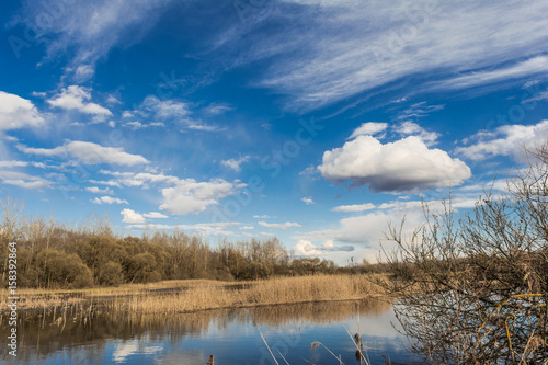 Blue lake, the sky reflects the surface of the water with white clouds, on the horizon a dry reed and the forest grows from deciduous and needy tree species, the sunny spring landscape