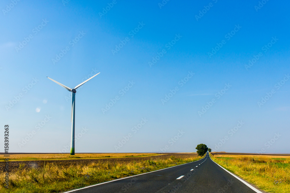 Windmills transforming wind power in electricity